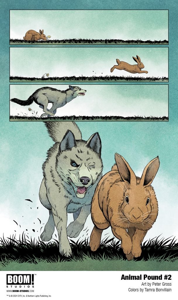 ANIMAL POUND 2 First Look BOOM! Studios