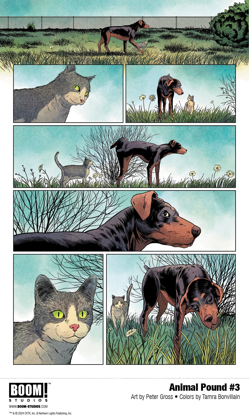 ANIMAL POUND 3 First Look BOOM! Studios